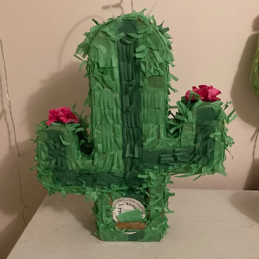 Cactus piñata
